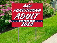Trending Yard Signs - Any Functioning Adult for President 2024 yard sign